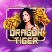 Dragon Tiger on phpwin download